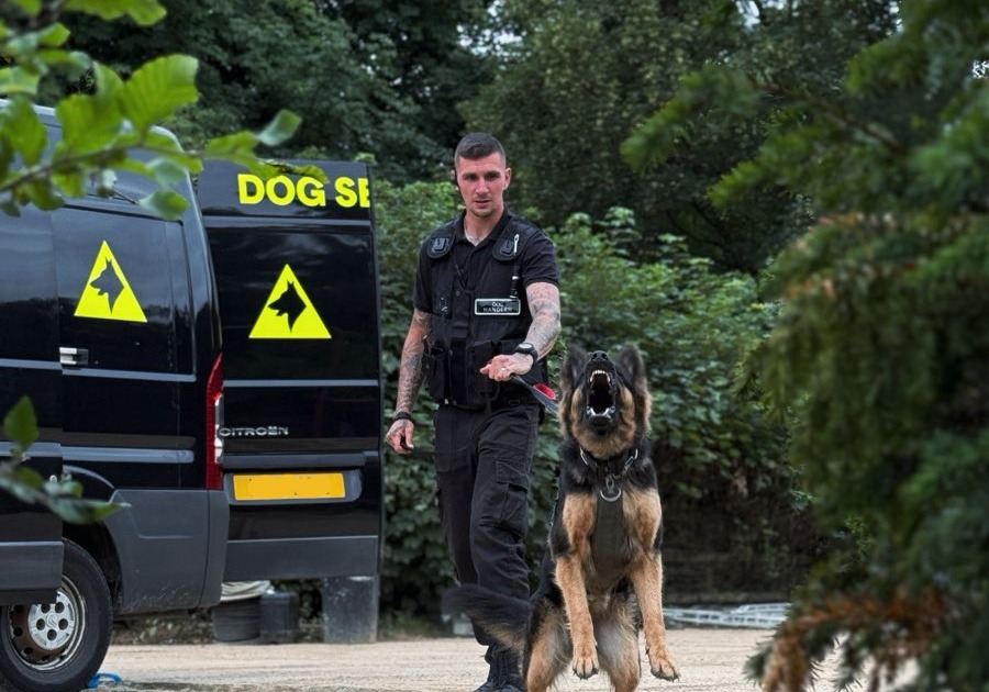 Webbs K9 Security Webbs K9 Security